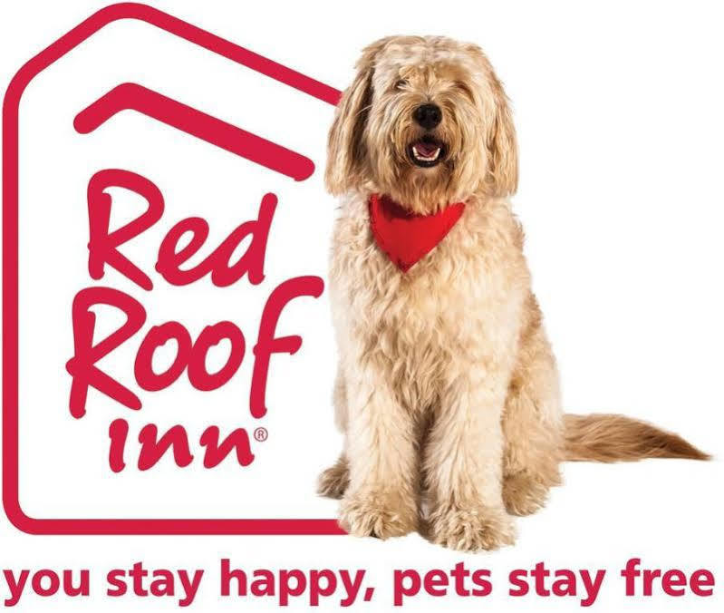Red Roof Inn Cleveland Airport - Middleburg Heights Bagian luar foto